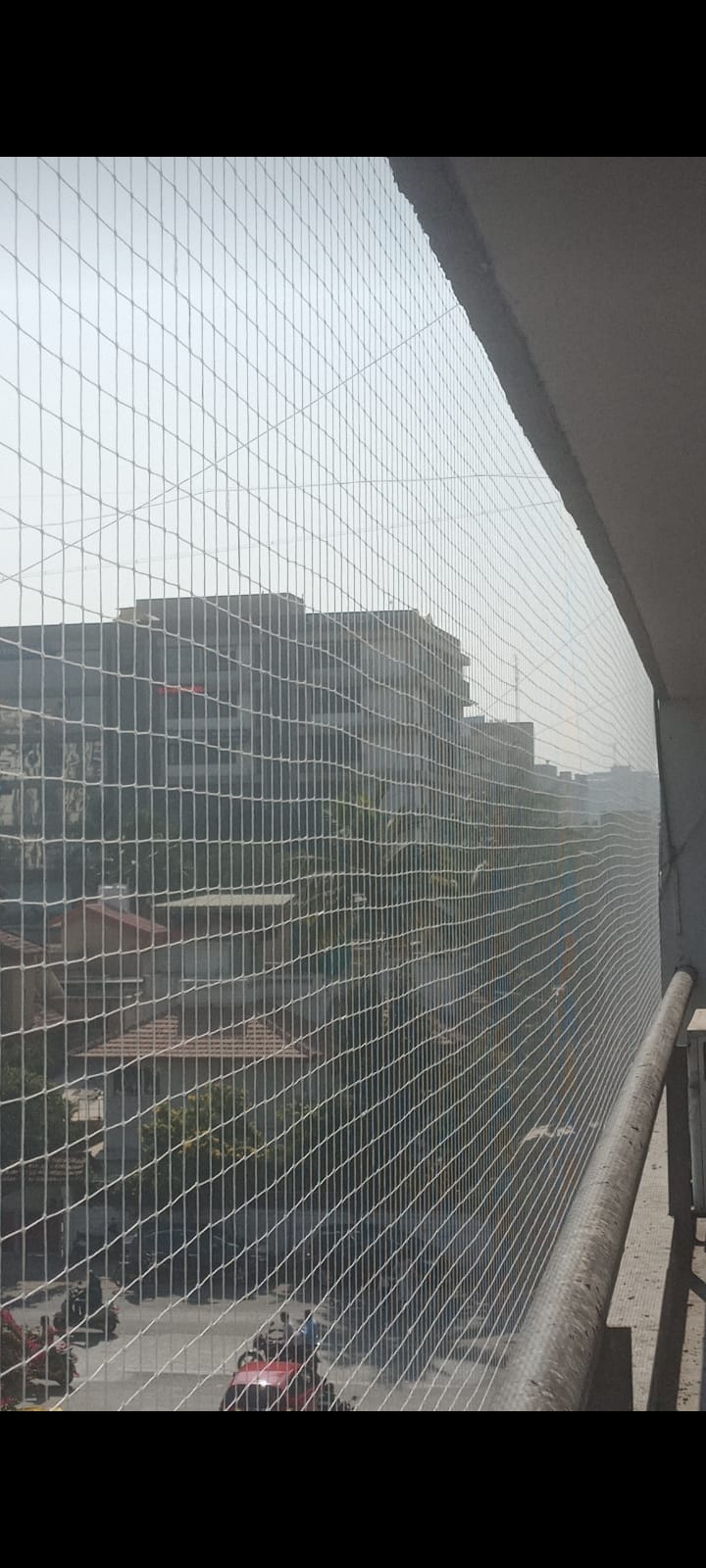 Bird Net