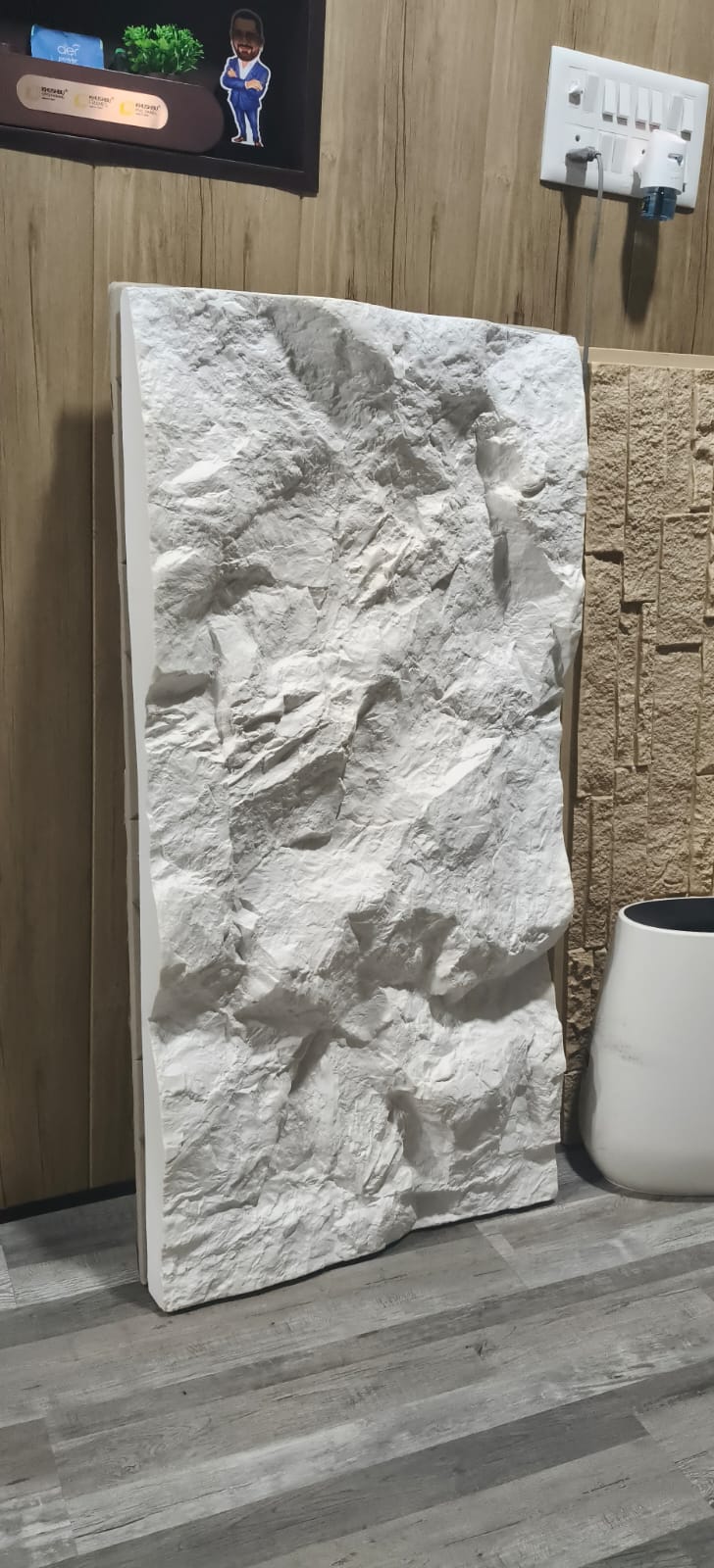White Rock Panel